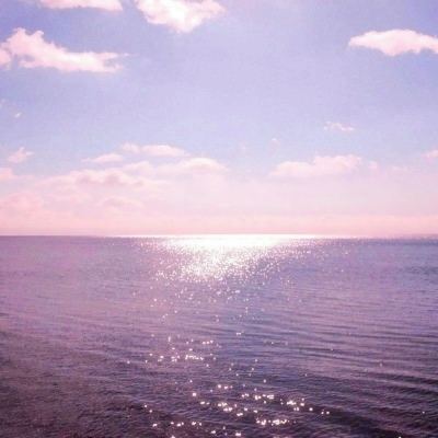 乐宝体育官网登录入口手机app下载截图